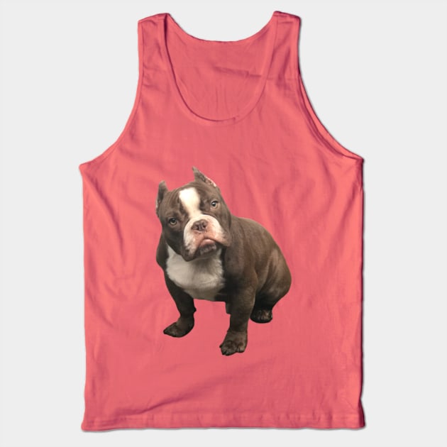 Bully Tank Top by Oregon Art Shop